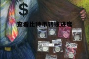 怎么查看比特币资金流入，查看比特币转账进度
