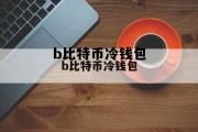 b比特币今天最新人民币价格，b比特币冷钱包