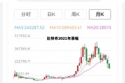 比特币2021能涨多少，比特币2021年涨幅