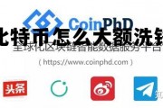 比特币怎么大额洗钱的，比特币怎么大额洗钱