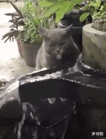 我在比特儿的帽子币哪去了的简单介绍 我在比特儿的帽子币哪去了的简单介绍