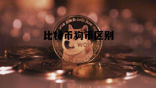 比特币 狗狗币 区别,比特币狗币区别 比特币 狗狗币 区别,比特币狗币区别