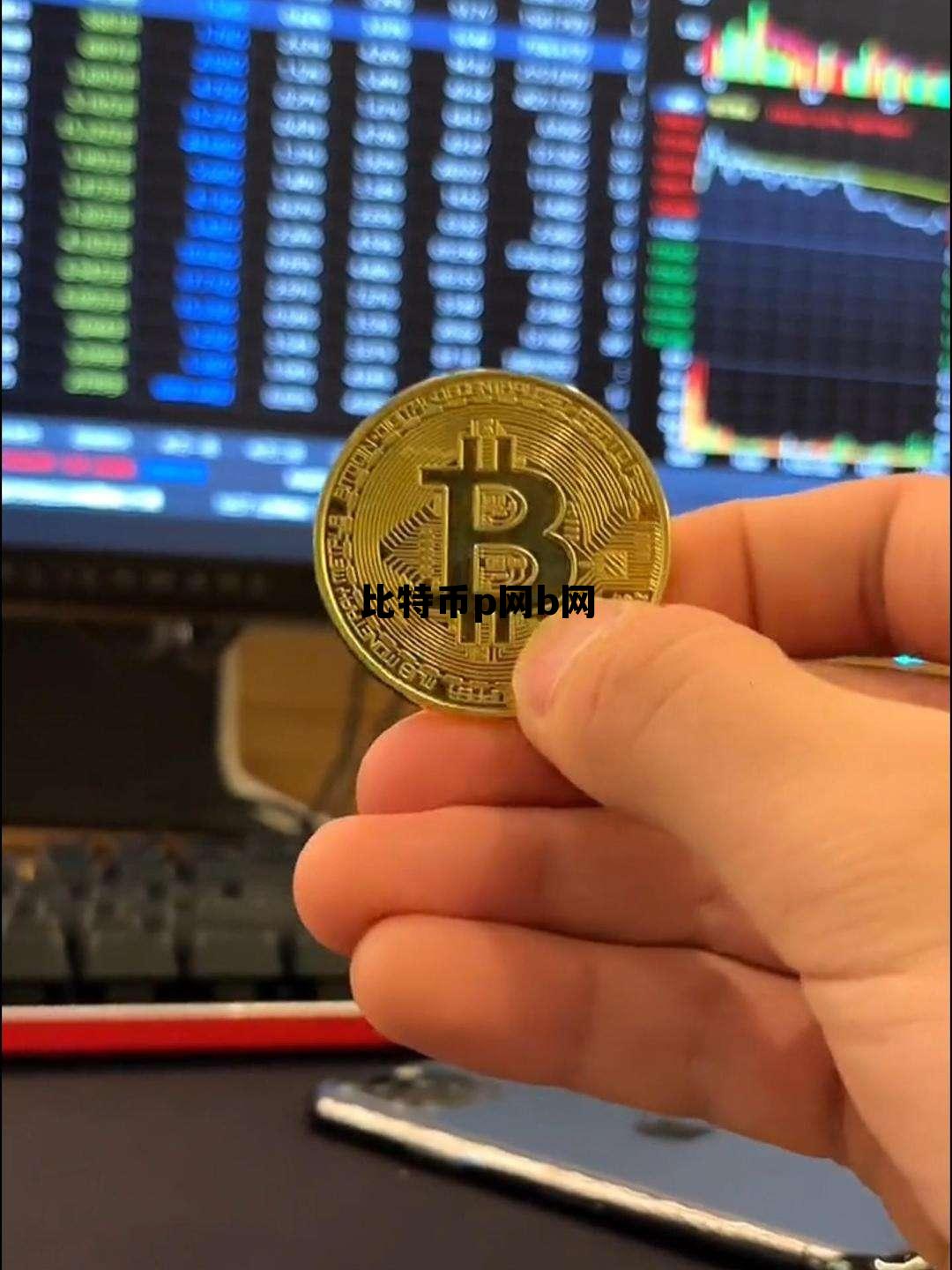 比特币b网是什么意思,比特币p网b网 比特币b网是什么意思,比特币p网b网