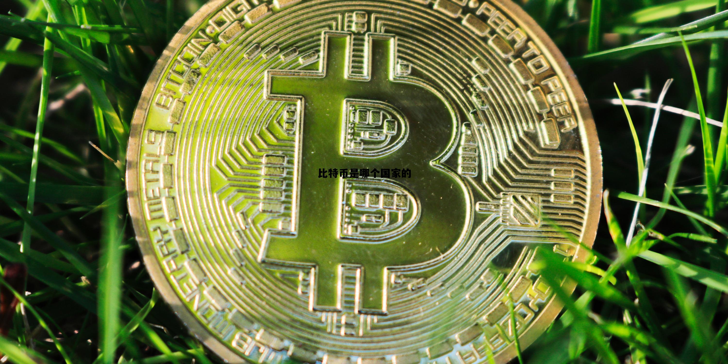 比特币是哪国的货币价格多少人民币,比特币是哪个国家的 比特币是哪国的货币价格多少人民币,比特币是哪个国家的