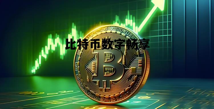 比特币数字交易,比特币数字畅享 比特币数字交易,比特币数字畅享