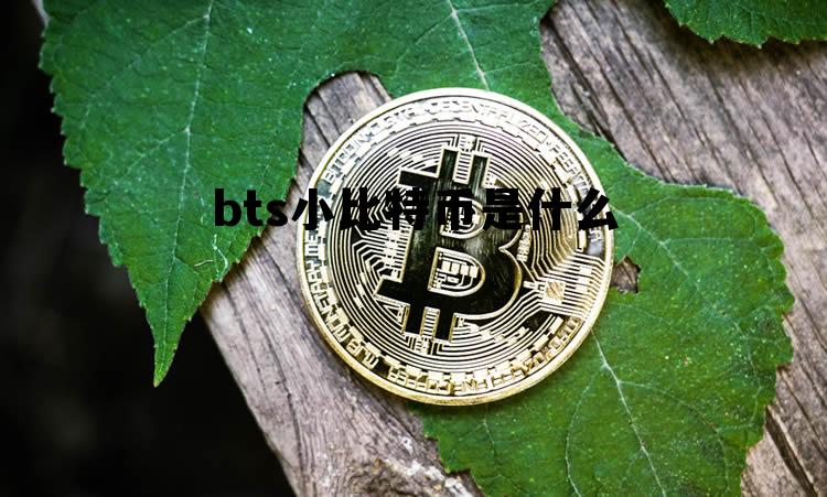 bts小比特币是什么的简单介绍 bts小比特币是什么的简单介绍