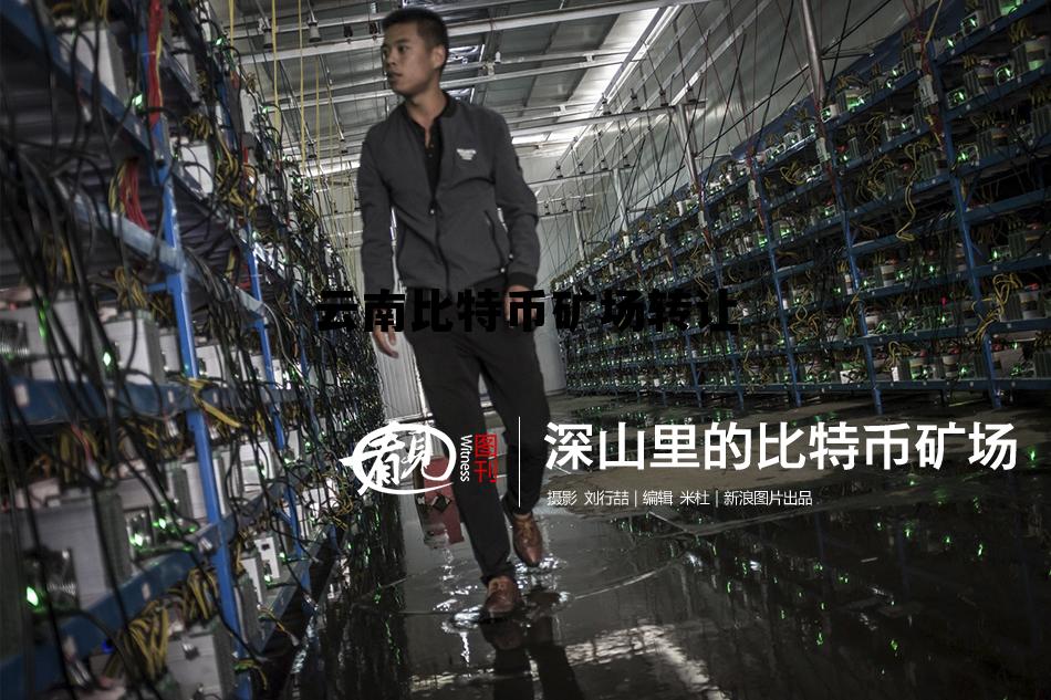 云南比特币矿场转让公告,云南比特币矿场转让 云南比特币矿场转让公告,云南比特币矿场转让