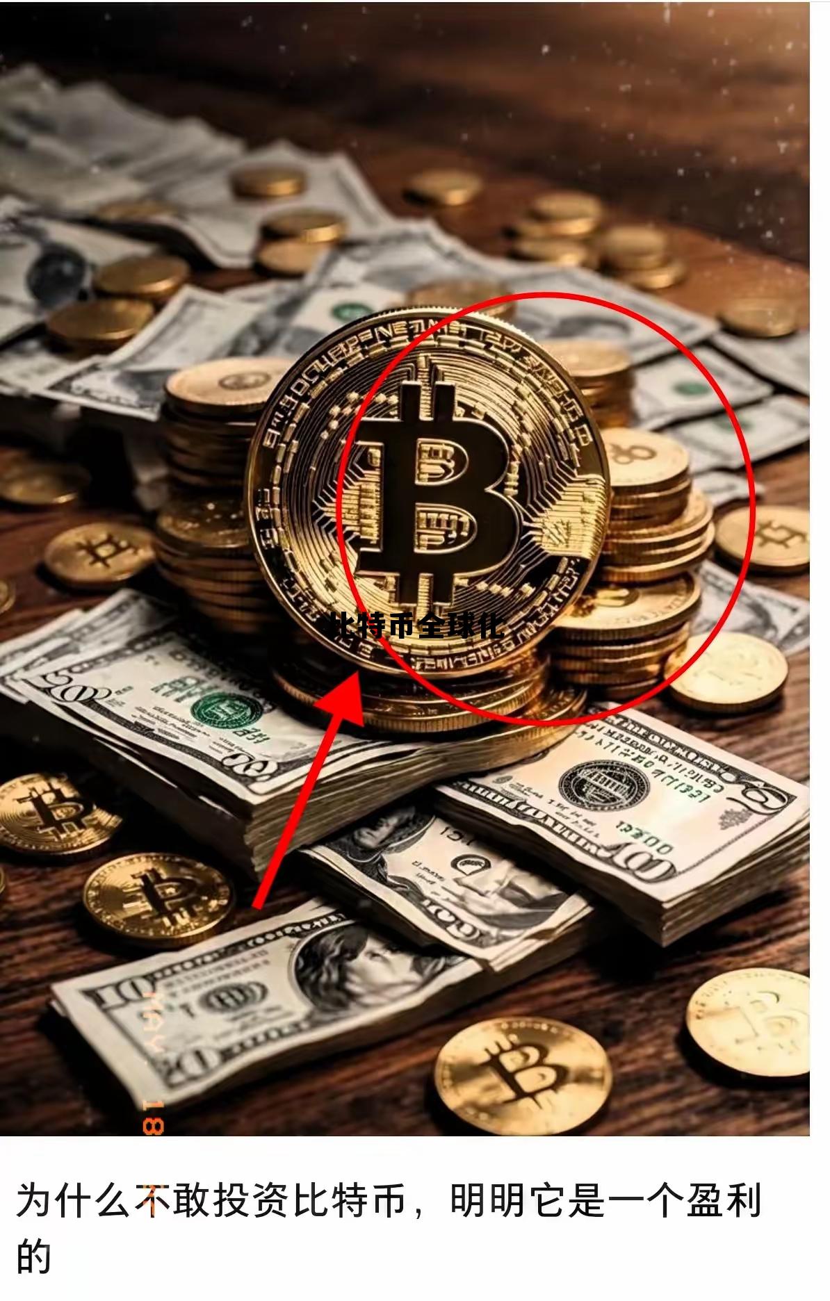 全球比特币发展研究报告,比特币全球化 全球比特币发展研究报告,比特币全球化