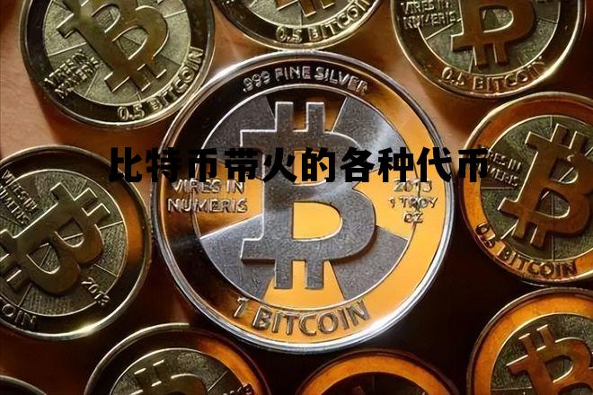 比特币带火的各种代币是什么,比特币带火的各种代币 比特币带火的各种代币是什么,比特币带火的各种代币