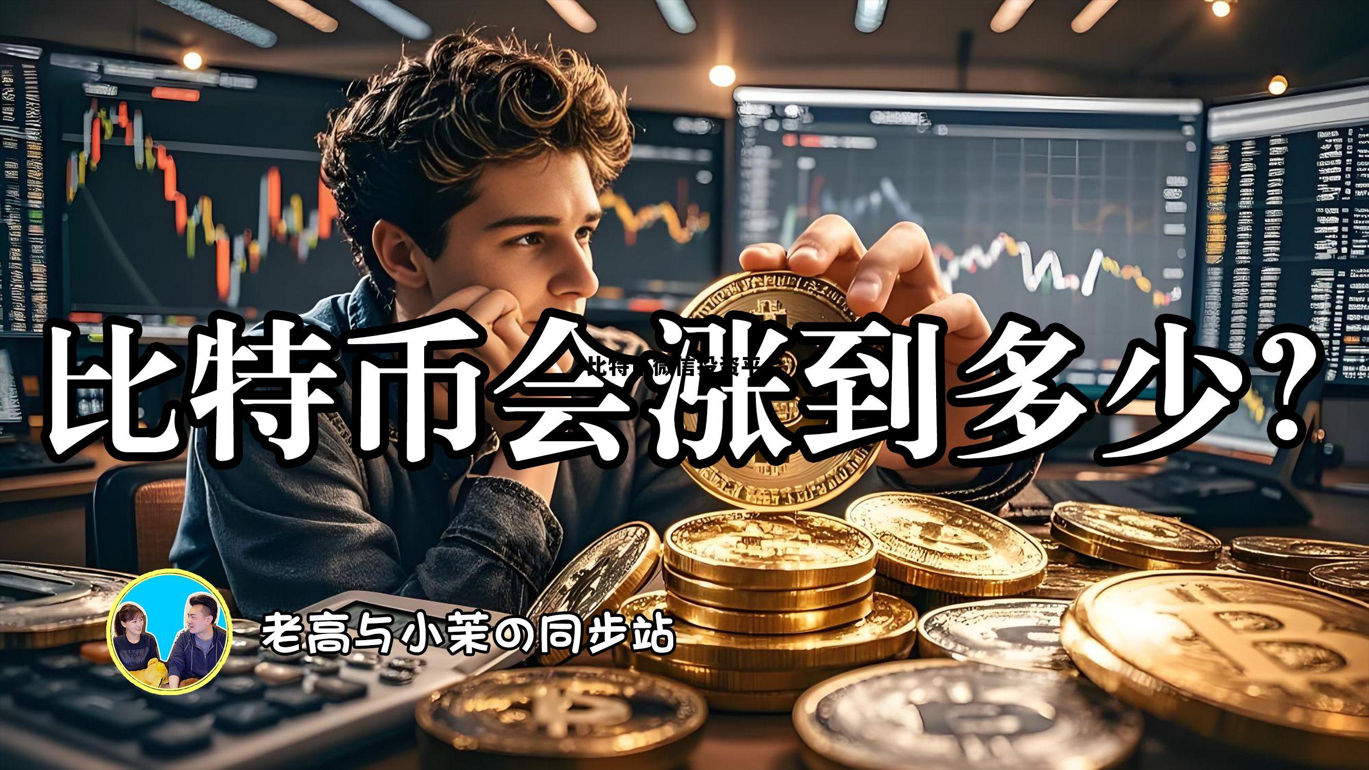 比特币投资平台app，比特币微信投资平台