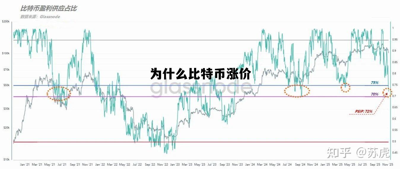 为什么比特币涨了还亏钱,为什么比特币涨价 为什么比特币涨了还亏钱,为什么比特币涨价